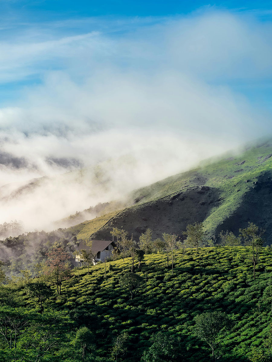 Estate Residency Munnar: Top-Rated Resort & Homestay in Munnar